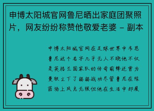 申博太阳城官网鲁尼晒出家庭团聚照片，网友纷纷称赞他敬爱老婆 - 副本