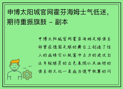 申博太阳城官网霍芬海姆士气低迷，期待重振旗鼓 - 副本