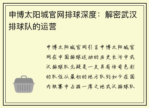 申博太阳城官网排球深度：解密武汉排球队的运营